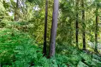 1174 STRATHAVEN DRIVE - thumbnail 29