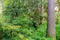1174 STRATHAVEN DRIVE - thumbnail 30