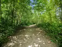 309 6815 188 STREET - thumbnail 26
