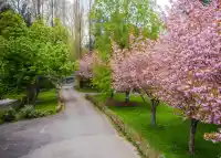 462 248 STREET - thumbnail 3
