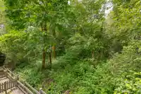 75 6747 203 STREET - thumbnail 27