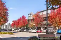 3 20852 77A AVENUE - thumbnail 38