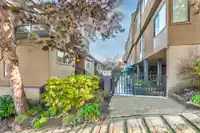 2266 ALDER STREET - thumbnail 35