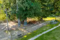 43699 OHMAN ROAD - thumbnail 32
