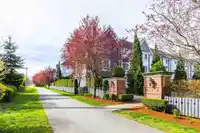 74 8476 207A STREET - thumbnail 35
