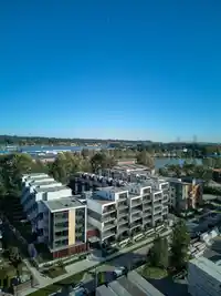 316 310 SALTER STREET - thumbnail 24