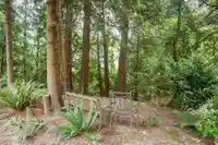 24 4847 219 STREET - thumbnail 39