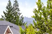 35 3400 DEVONSHIRE AVENUE - thumbnail 20