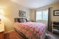 5255 244 STREET - thumbnail 20