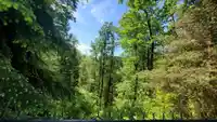 5255 244 STREET - thumbnail 6