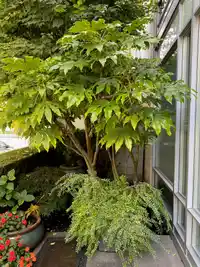 410 BEACH CRESCENT - thumbnail 35