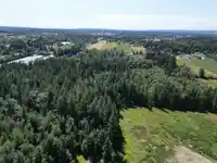 3596 240 STREET - thumbnail 11