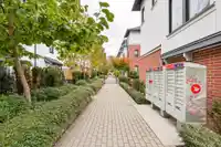 109 2070 CURLING ROAD - thumbnail 39
