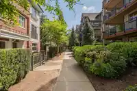 80 20738 84 AVENUE - thumbnail 36