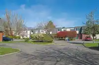 23 10840 SPRINGMONT DRIVE - thumbnail 35
