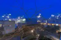 404 2288 PINE STREET - thumbnail 32