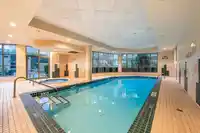 404 2288 PINE STREET - thumbnail 35