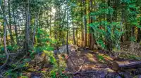 19178 117A AVENUE - thumbnail 30