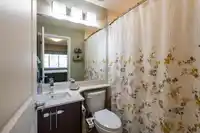 229 3888 NORFOLK STREET - thumbnail 13
