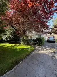 8251 LESLIE ROAD - thumbnail 2