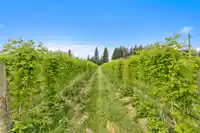 37.6 AC 240 STREET - thumbnail 12