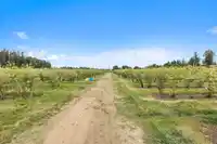 37.6 AC 240 STREET - thumbnail 13