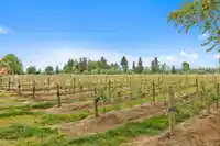 37.6 AC 240 STREET - thumbnail 19