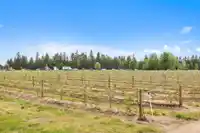 37.6 AC 240 STREET - thumbnail 21