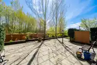 309 11566 224 STREET - thumbnail 32
