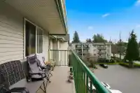 404 31771 PEARDONVILLE ROAD - thumbnail 28