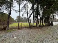 11394 240 STREET - thumbnail 4