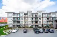 321 30525 CARDINAL AVENUE - thumbnail 24