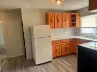 12893 114A AVENUE - thumbnail 7