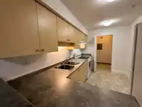 217 20454 53 AVENUE - thumbnail 9