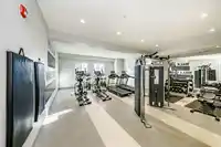 1101 11295 PAZARENA PLACE - thumbnail 34