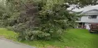 11961 97A AVENUE - thumbnail 8