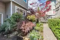 304 223 E KEITH ROAD - thumbnail 3