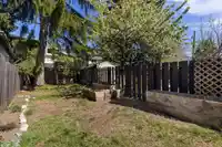 3 1470 LAUREL STREET - thumbnail 13
