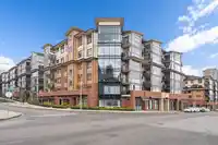 201 20328 86 AVENUE - thumbnail 39