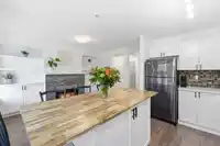 55 8930 WALNUT GROVE DRIVE - thumbnail 8