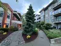 F101 20211 66 AVENUE - thumbnail 16