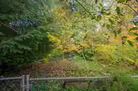 24 2315 198 STREET - thumbnail 30