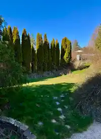 702 GIBSONS WAY - thumbnail 30