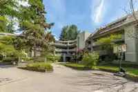 205 1200 PACIFIC STREET - thumbnail 1