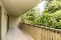 205 1200 PACIFIC STREET - thumbnail 12