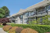 202 555 W 14TH AVENUE - thumbnail 20