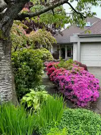 3961 ST. ALBANS AVENUE - thumbnail 39