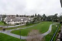 407 20068 FRASER HIGHWAY - thumbnail 35