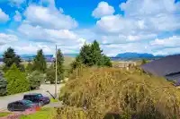 11236 135 STREET - thumbnail 2