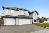2717 ANVIL GREEN - thumbnail 2